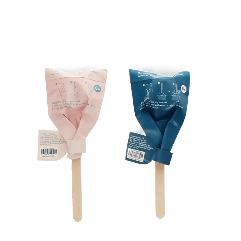 Rex London - Seed pops - Wildflower seeds (assorted - SINGLE)