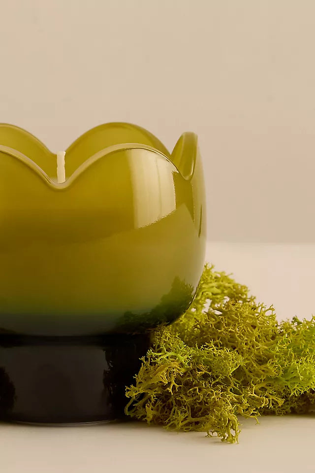 Paddywax Tulip Verbena & Lemongrass Glass Candle