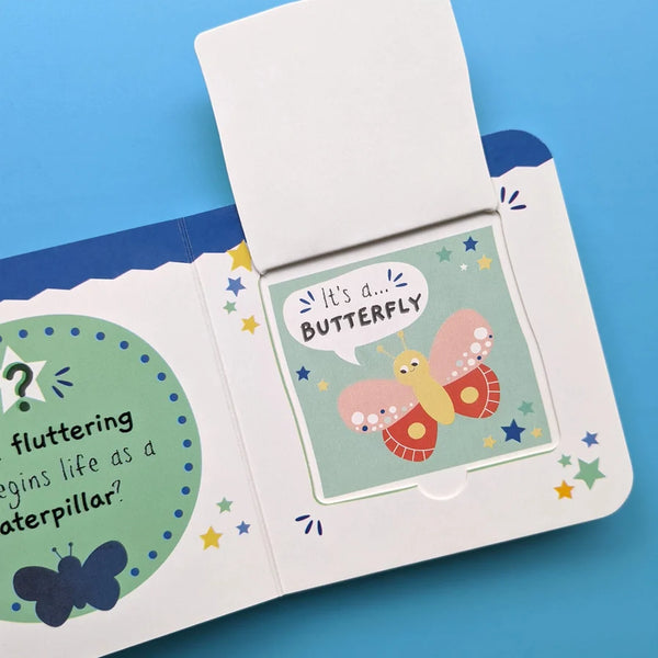 My First Bugs Lift-The-Flap-Book