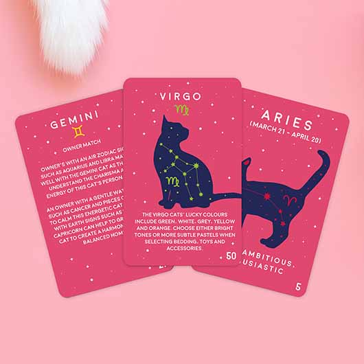 Paw-Mistry Cat Cards