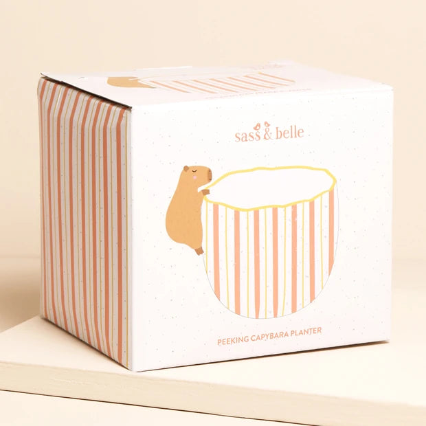 Sass & Belle Peeking Capybara Planter