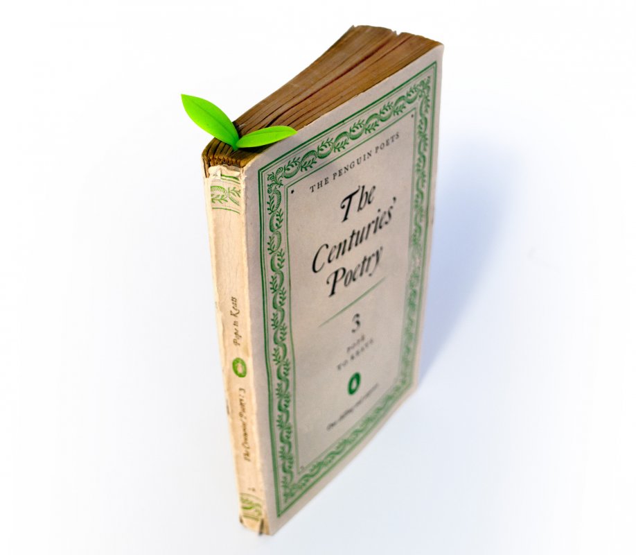 Sprout Bookmark - Set of 3