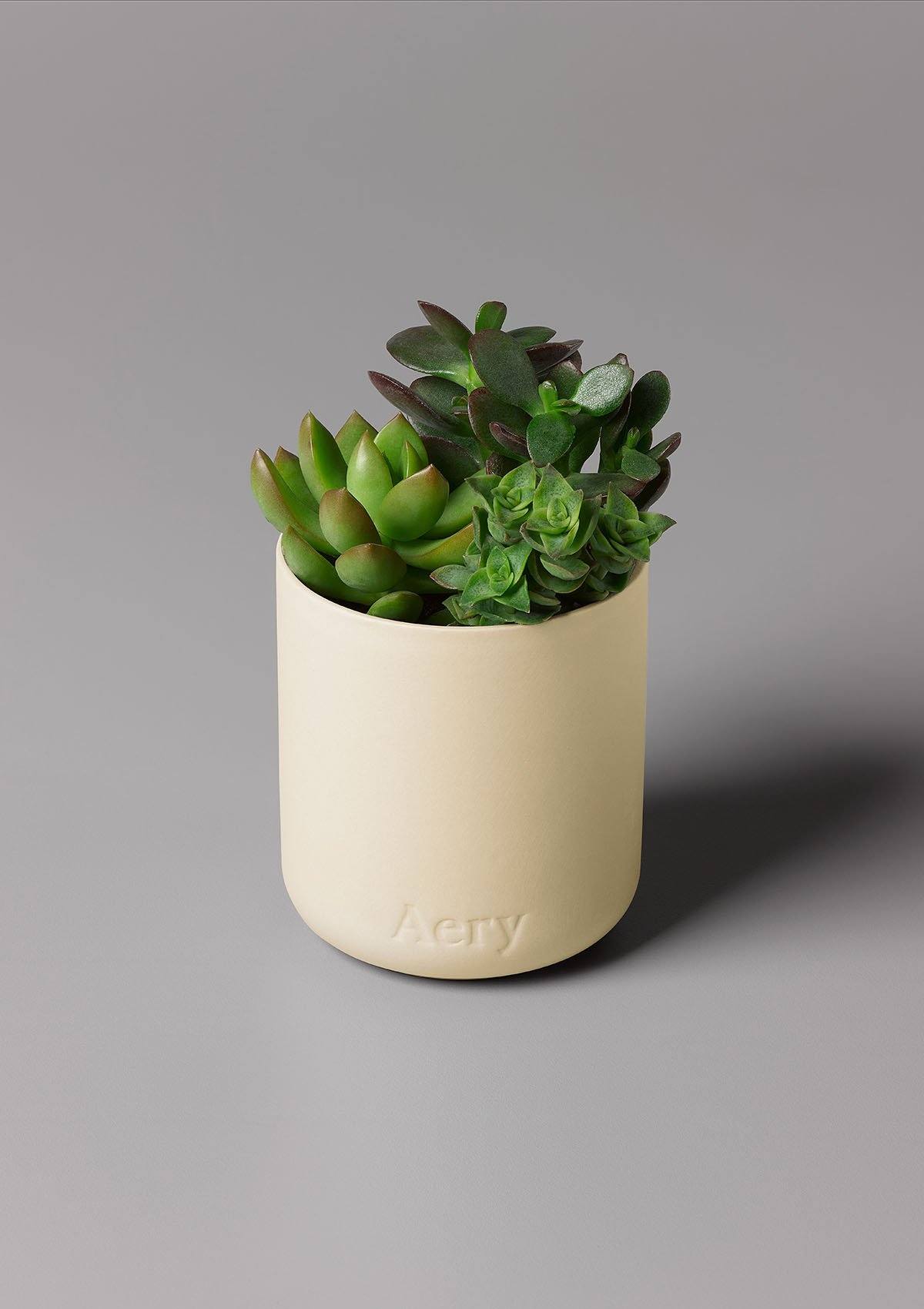 Aery Himalayan Cedarleaf Candle- Cream Clay