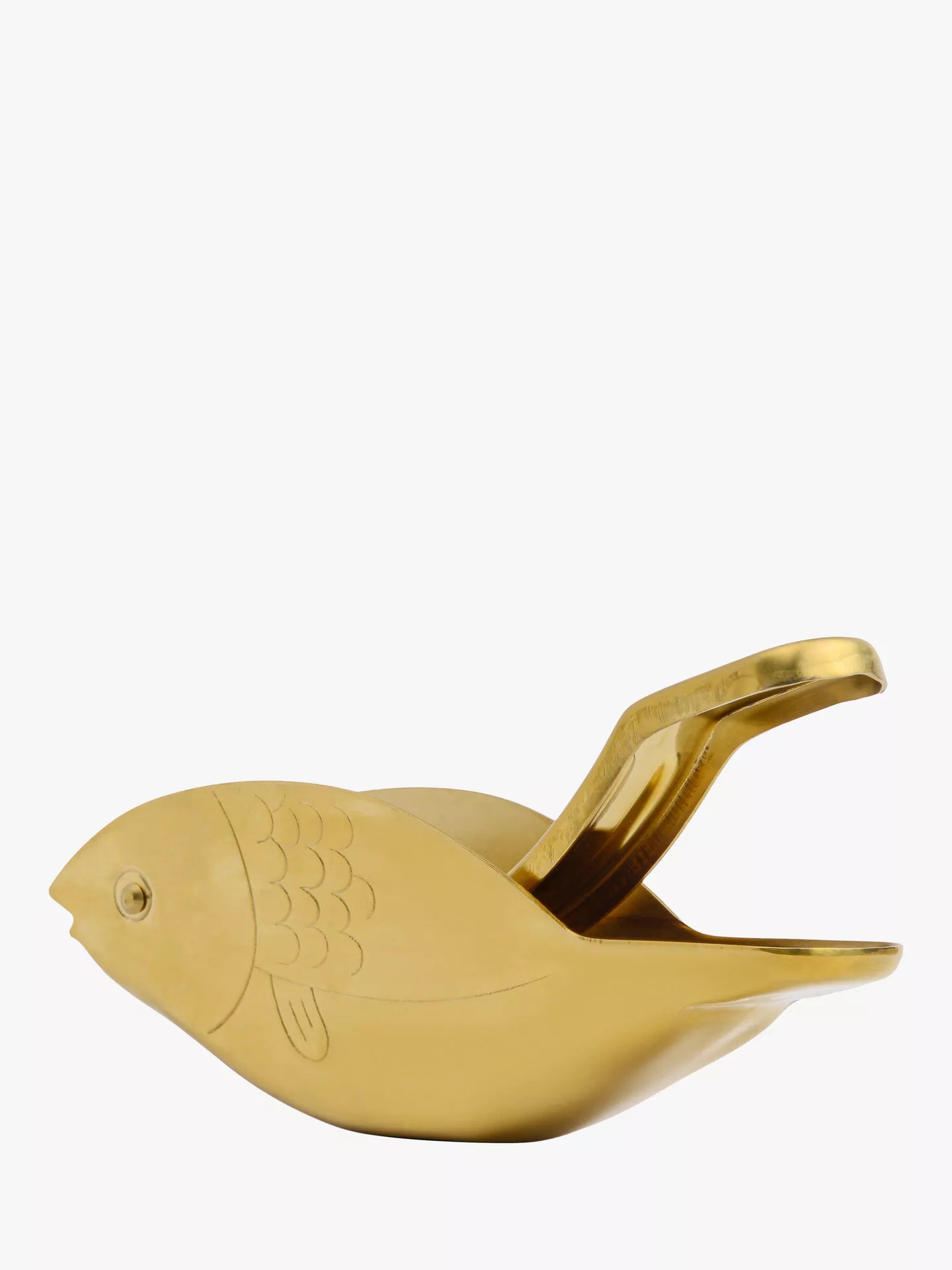 Here's How Stevie Fish Gold Citrus Juicer
