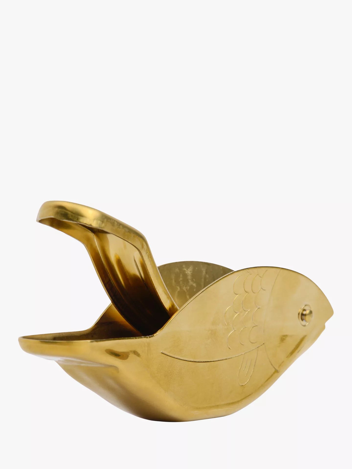 Here's How Stevie Fish Gold Citrus Juicer