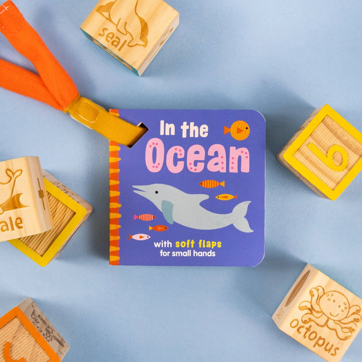 North Parade Publishing Ltd - In the Ocean (Buggy Book)