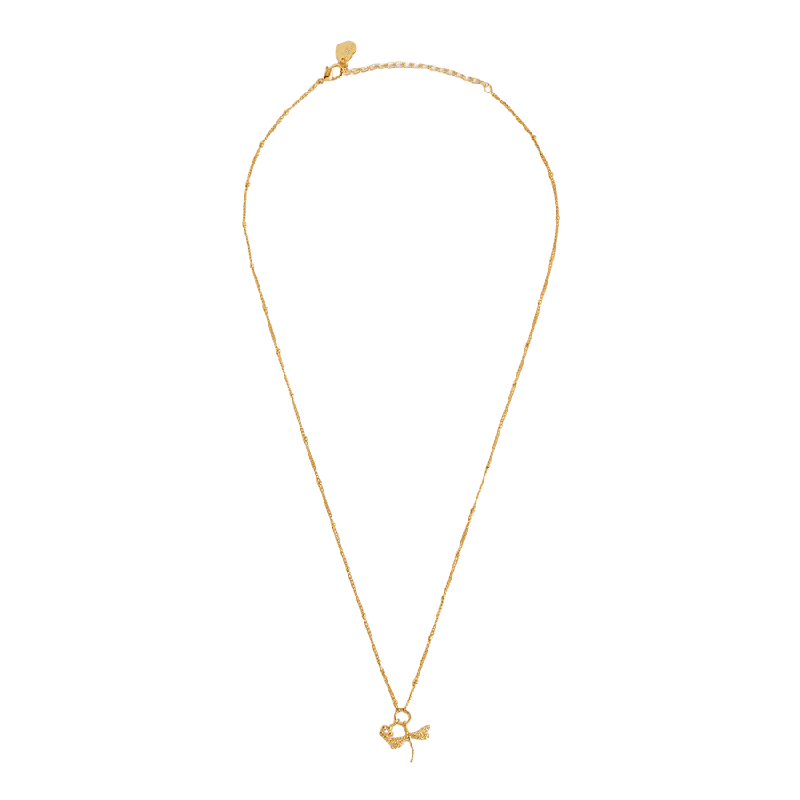 Estella Bartlett - Flower and Dragonfly Necklace