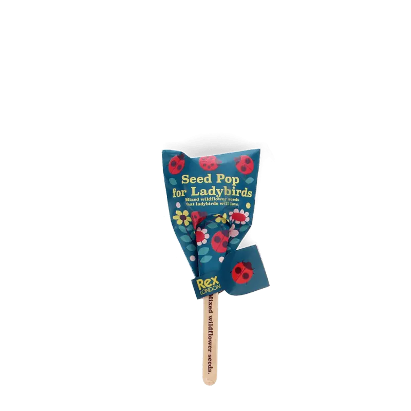 Rex London - Seed pops - Wildflower seeds (assorted - SINGLE)