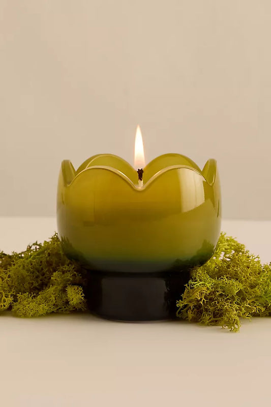 Paddywax Tulip Verbena & Lemongrass Glass Candle