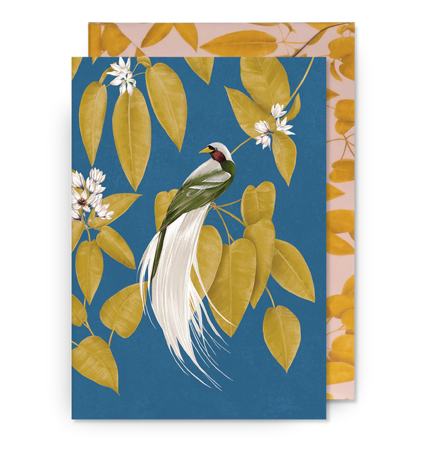 Bird of Paradise Card