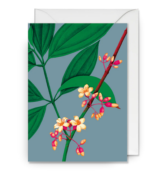 Blue Morning Valley Card
