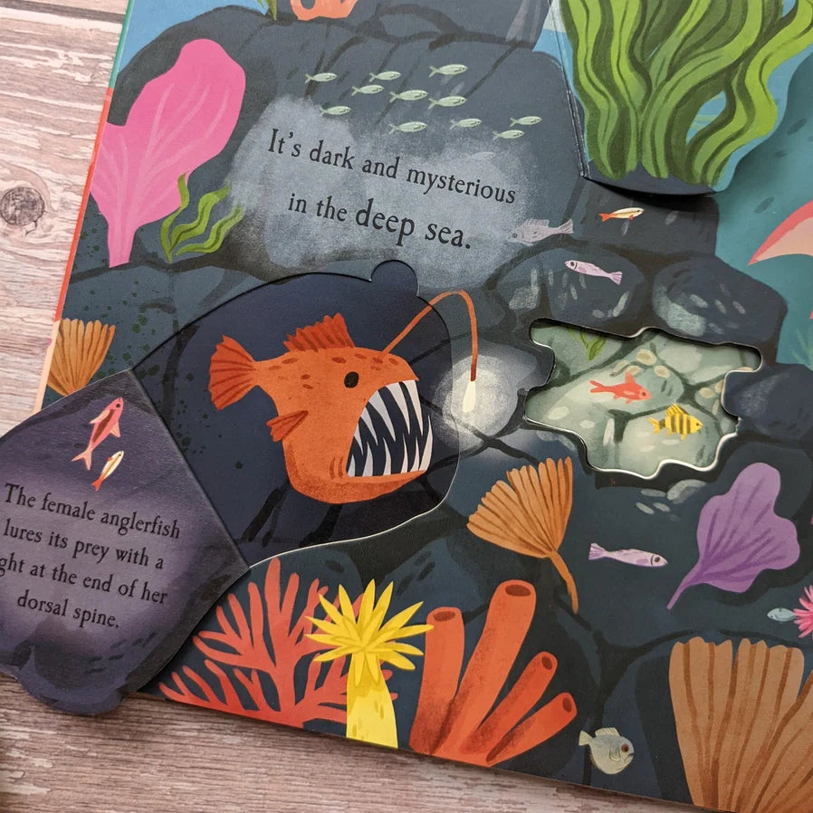 Let's Explore the Ocean Book
