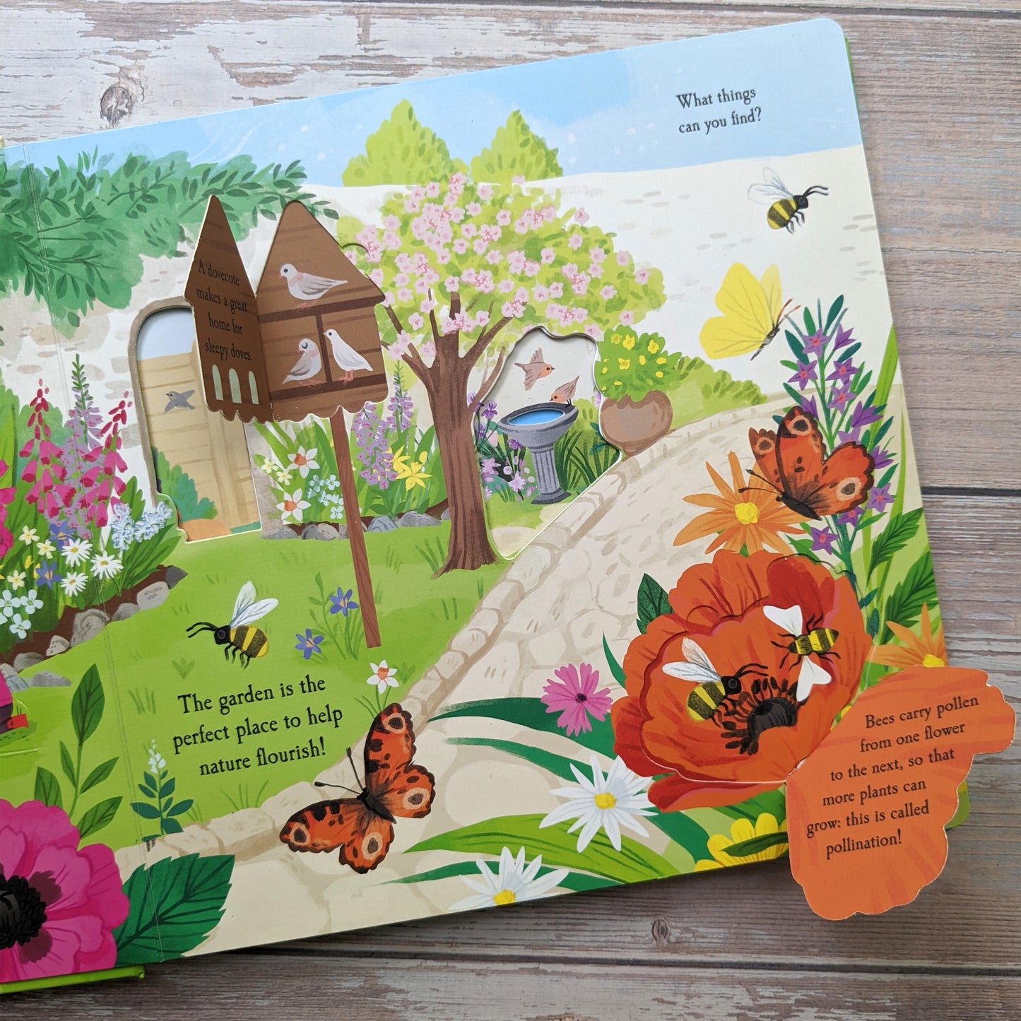 Let's Explore the Garden Book