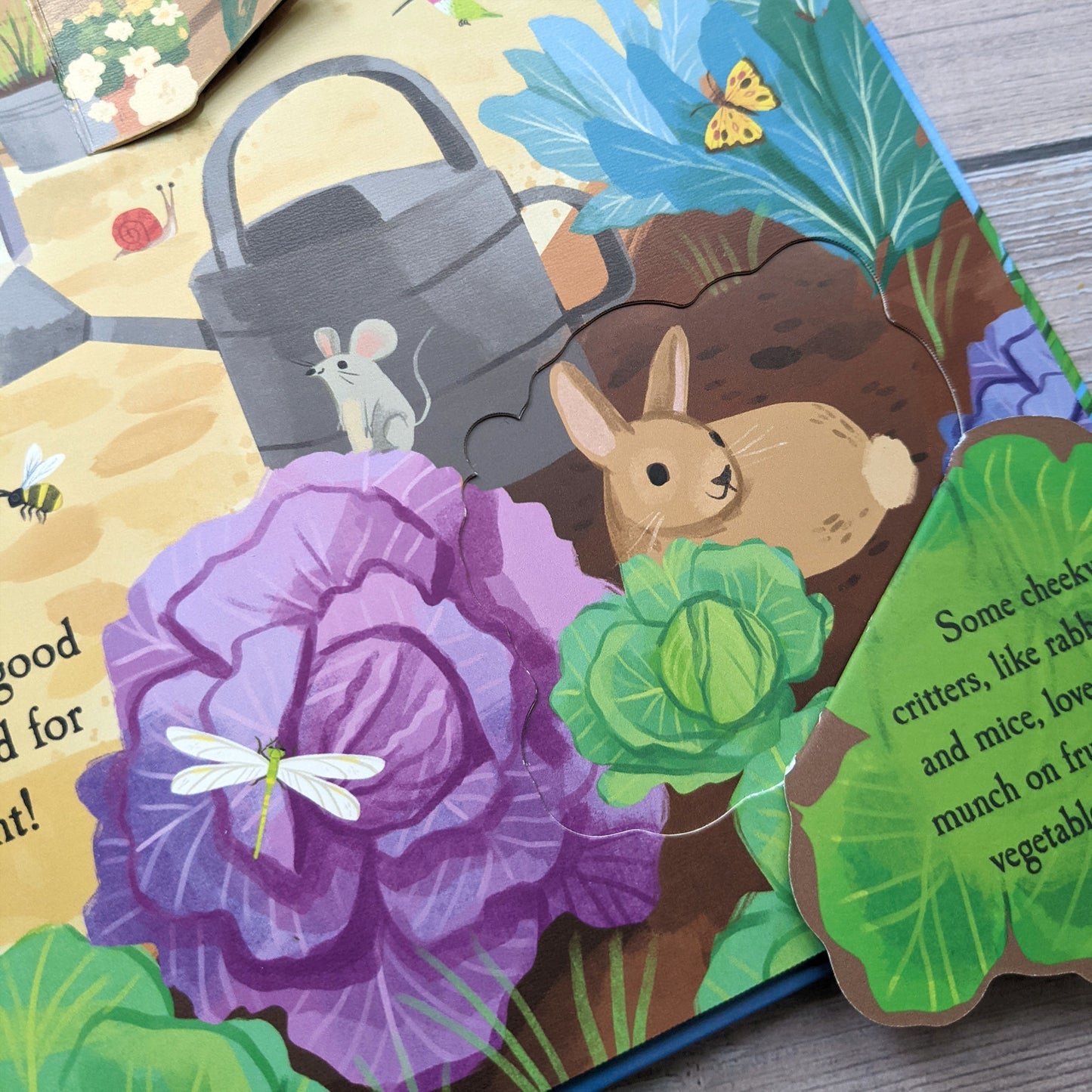 Let's Explore the Garden Book