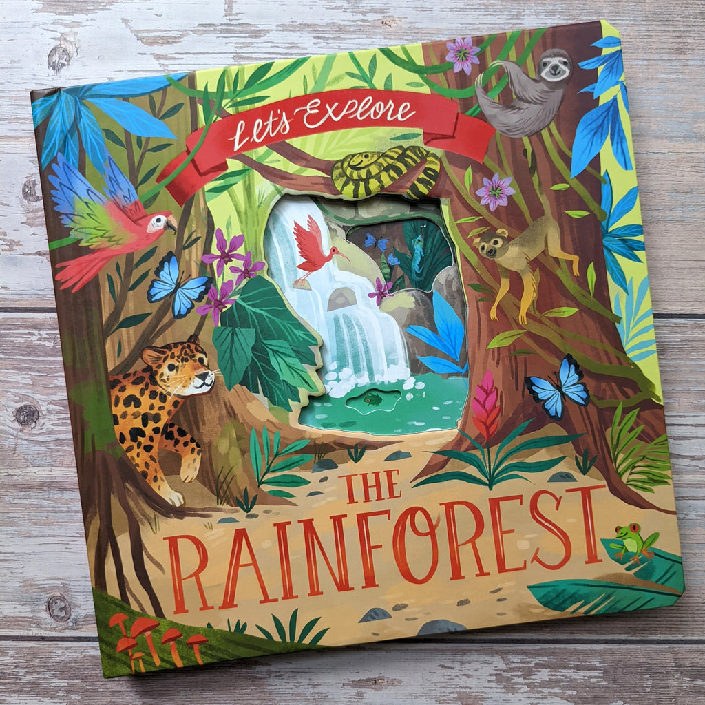Let's Explore the Rainforest Book