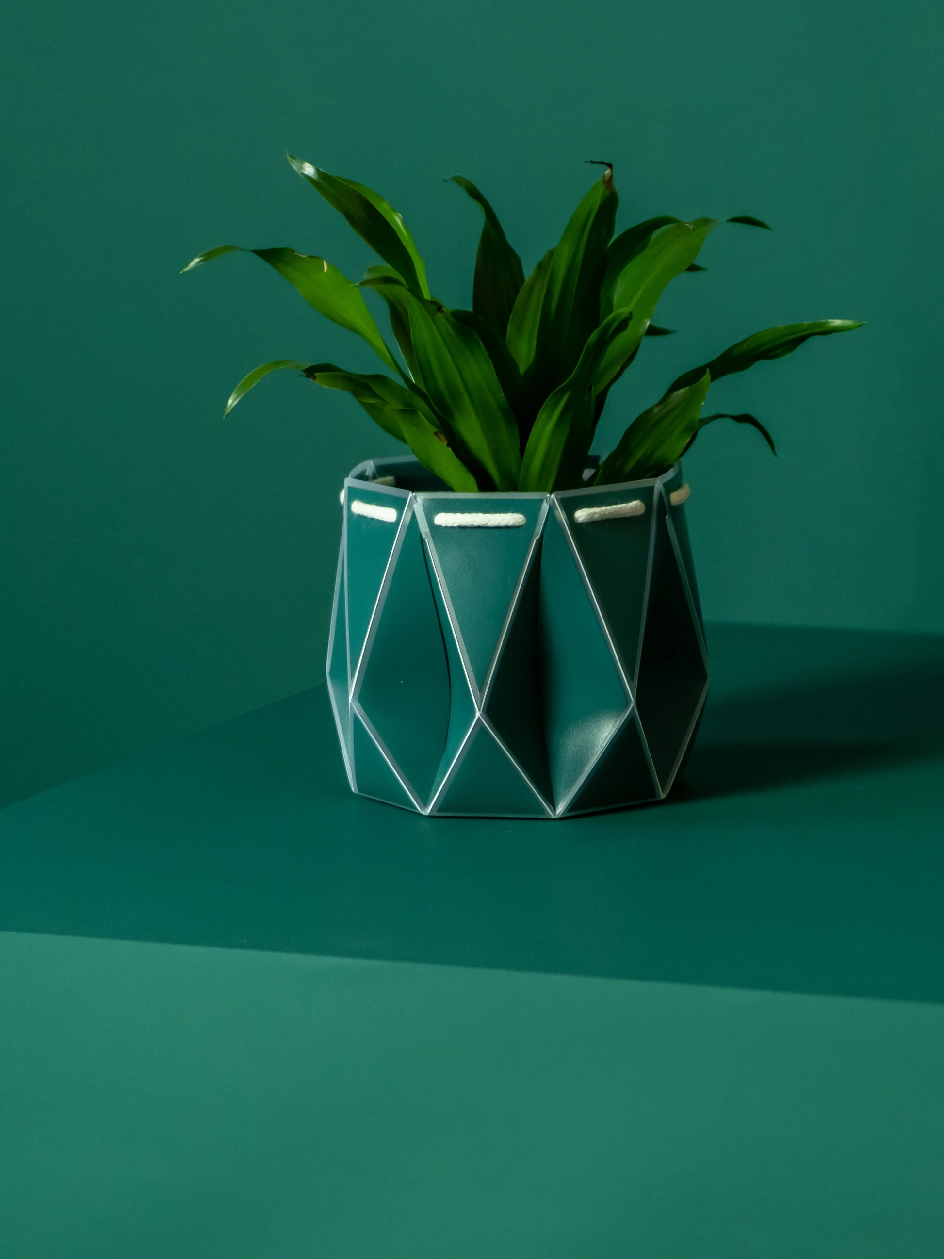 11cm plant pot POTR Origami Plant Pot 11cm