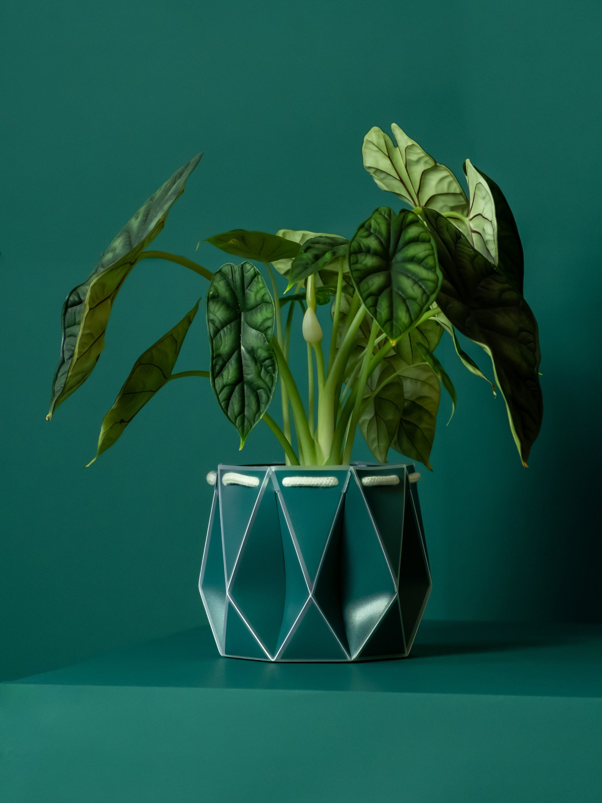 15cm plant pot POTR Origami Plant Pot 15cm