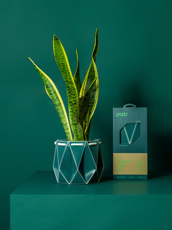 POTR Origami Plant Pot 15cm - Dark Teal
