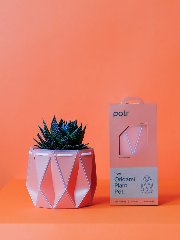 POTR Origami Plant Pot 11cm - Coral