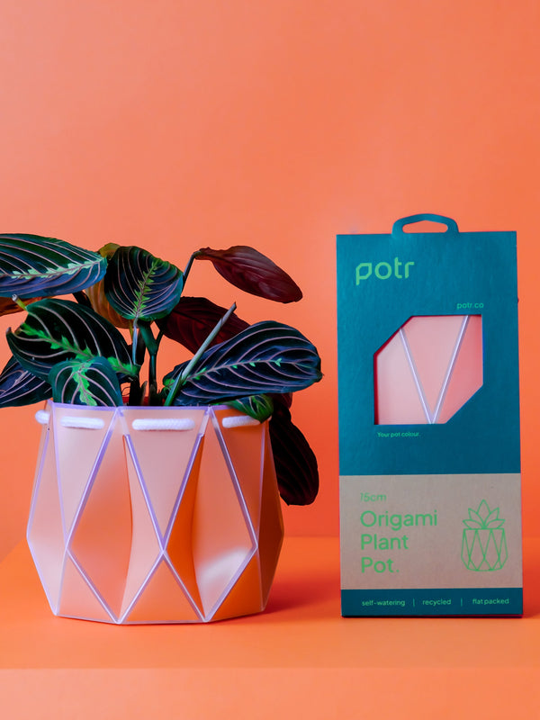 POTR Origami Plant Pot 15cm - Coral