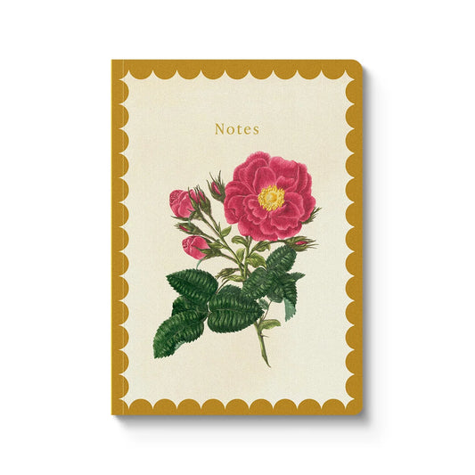 Ohh Deer - Drift Rose A5 Premium Paperback Notebook