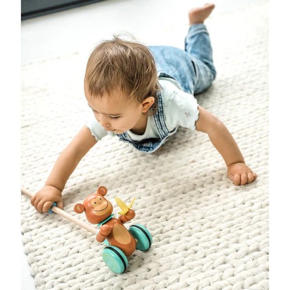 Orange tree toys - Monkey Push Along