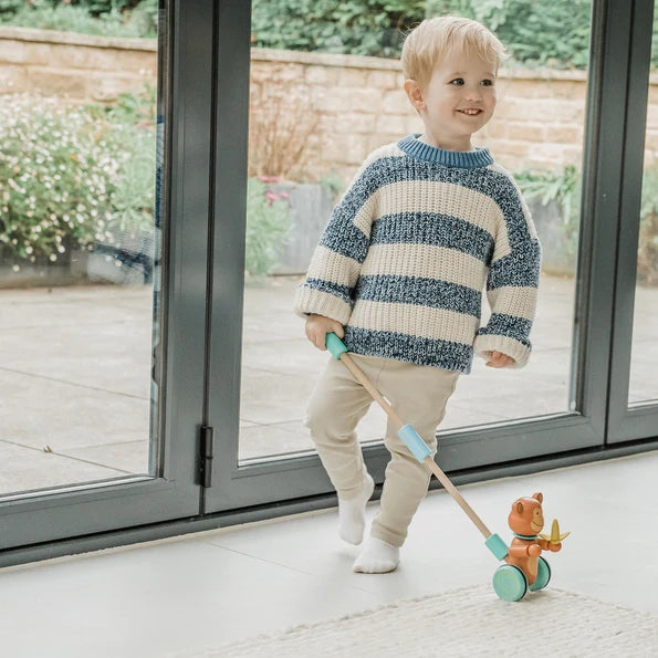 Orange tree toys - Monkey Push Along