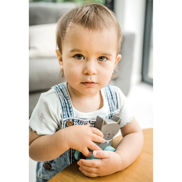 Orange tree toys - Kitty Push Toys