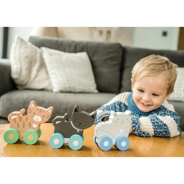 Orange tree toys - Kitty Push Toys