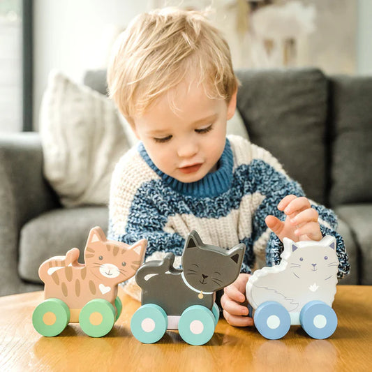 Orange tree toys - Kitty Push Toys