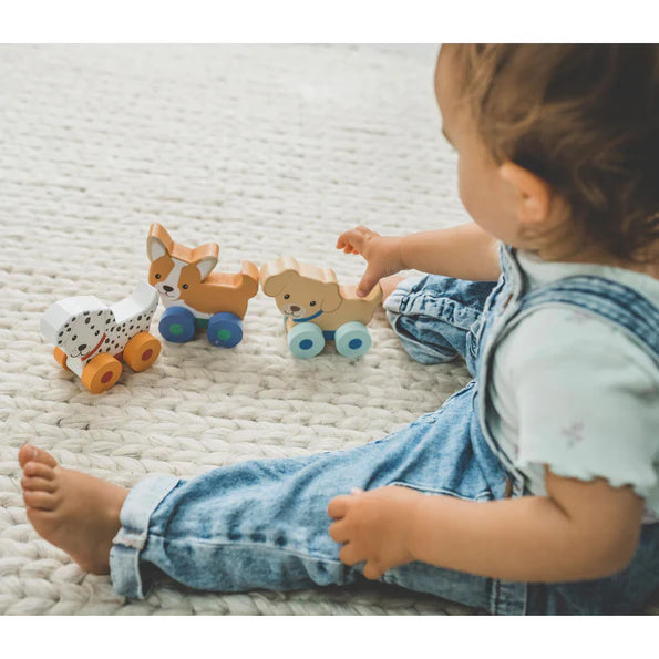 Orange tree toys - Puppy Push Toys