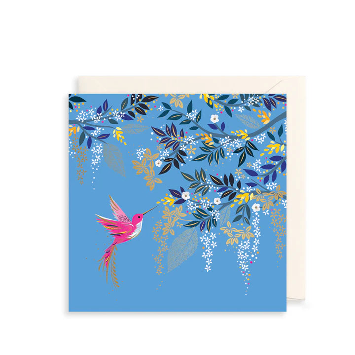 Hummingbird Flight Card