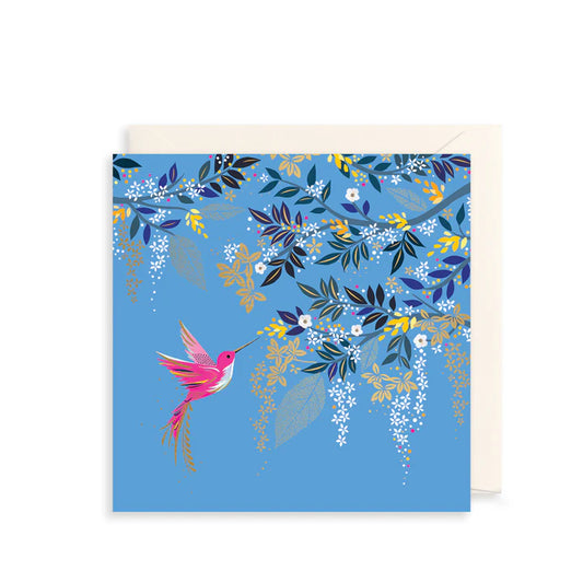 Hummingbird Flight Card
