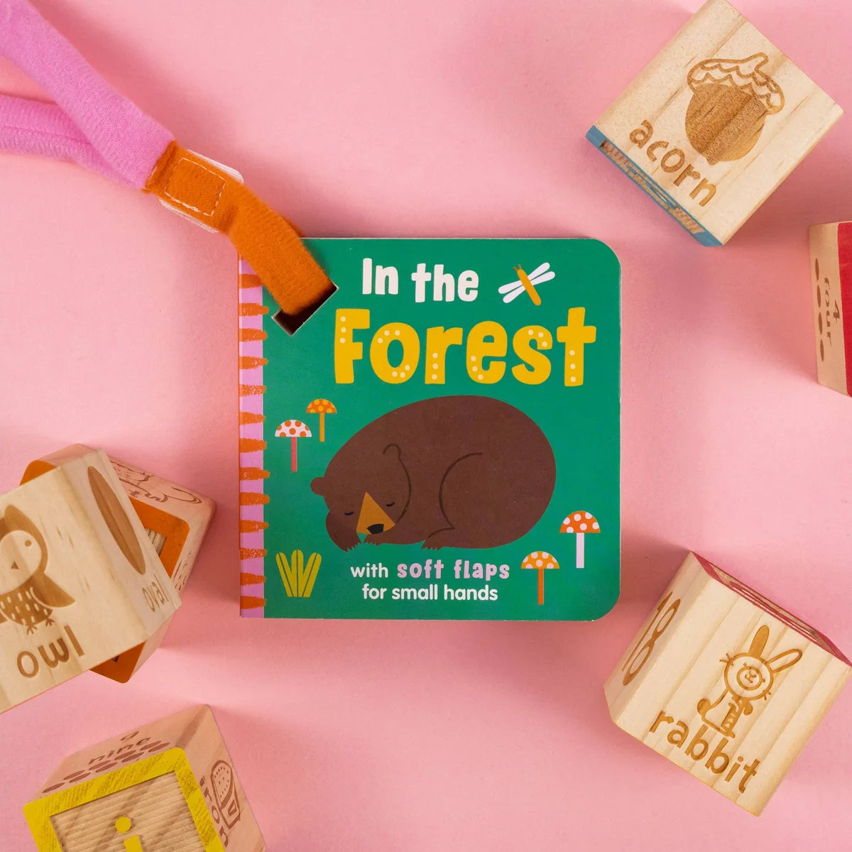 North Parade Publishing Ltd - In the Forest (Buggy Book)