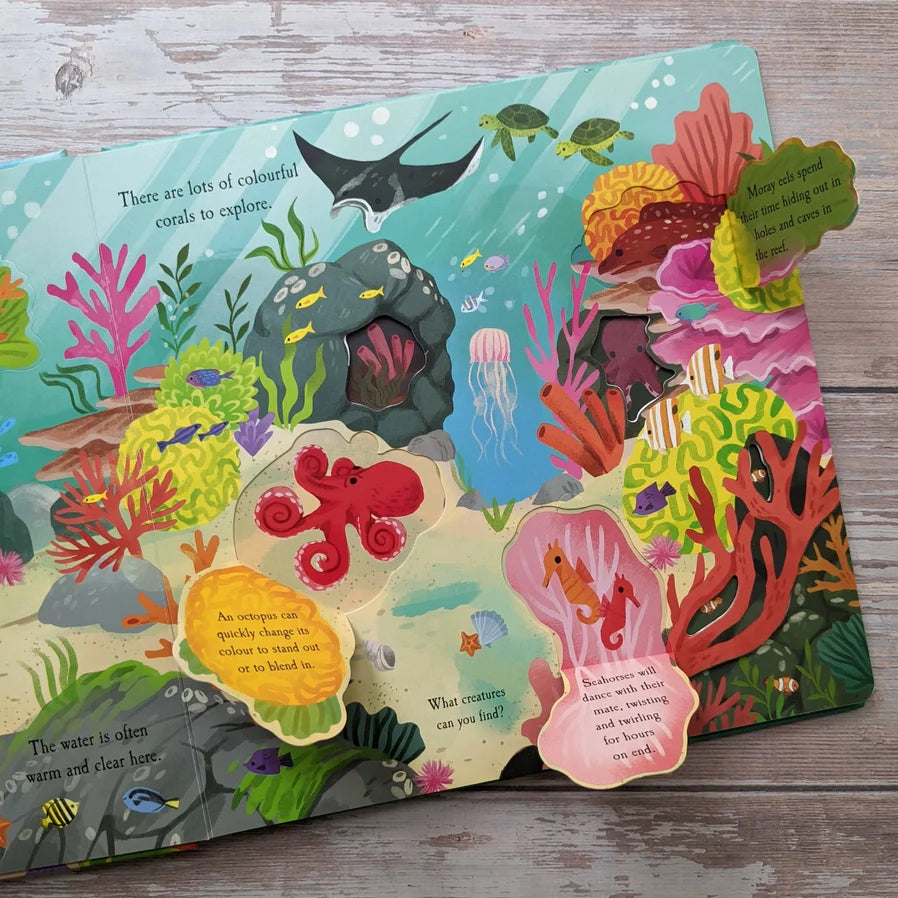 Let's Explore the Ocean Book