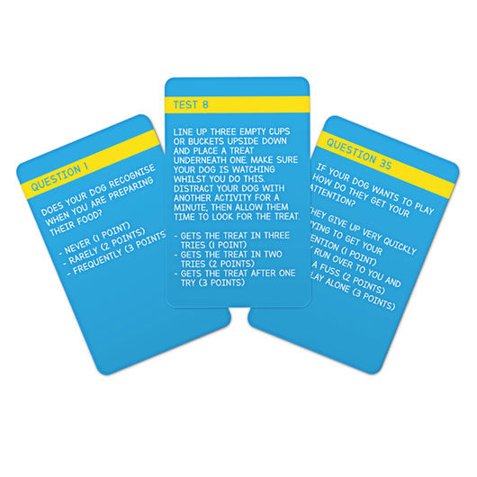 Test Memory Dog Dog IQ Test – Lark London