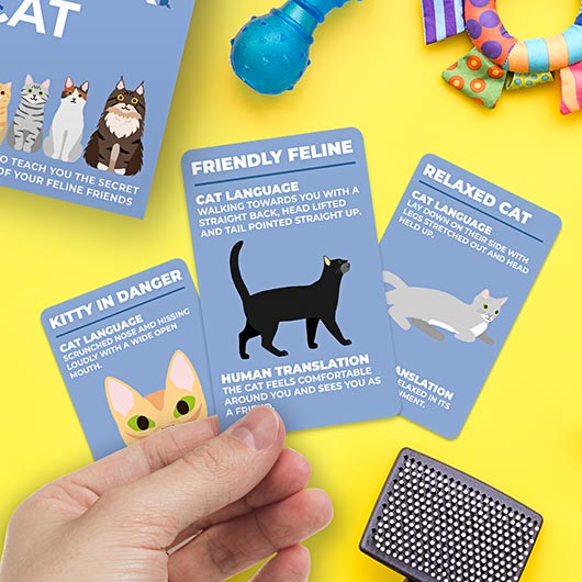 Gift Republic - How To Speak Cat