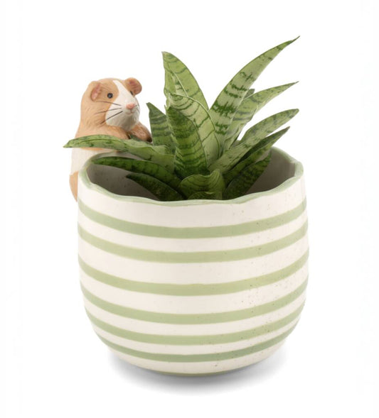 Sass and belle - Peeking Guinea Pig Planter