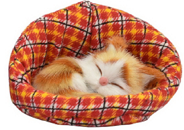 Purrrfect Sleeping Kittens - Assorted