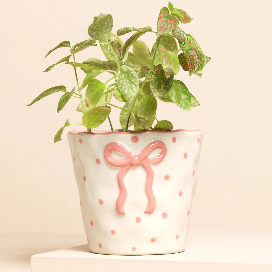 Bow Planter