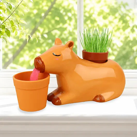Self Watering Capybara Planter