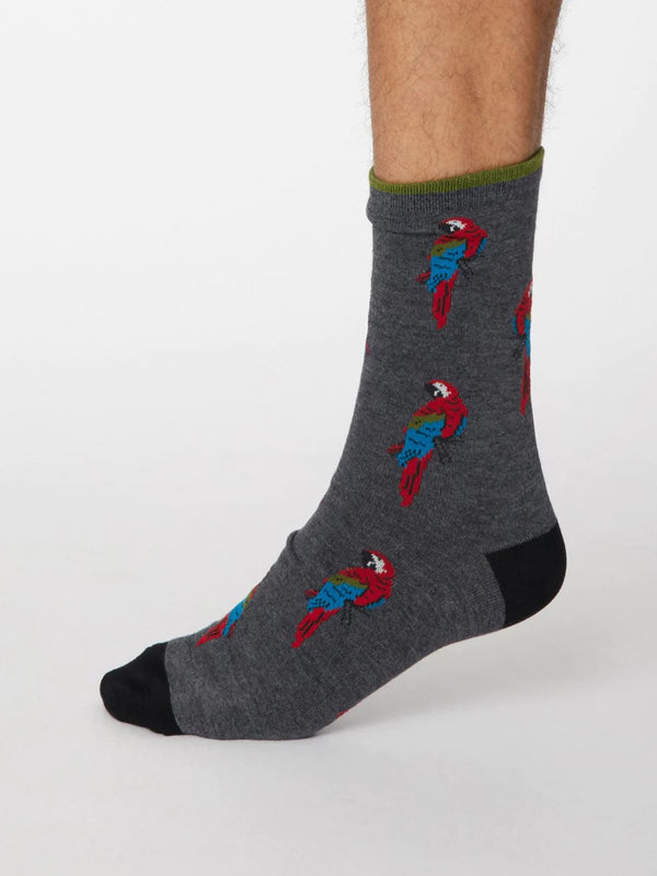 Men's Pappagallo Socks - Dark Grey Marle
