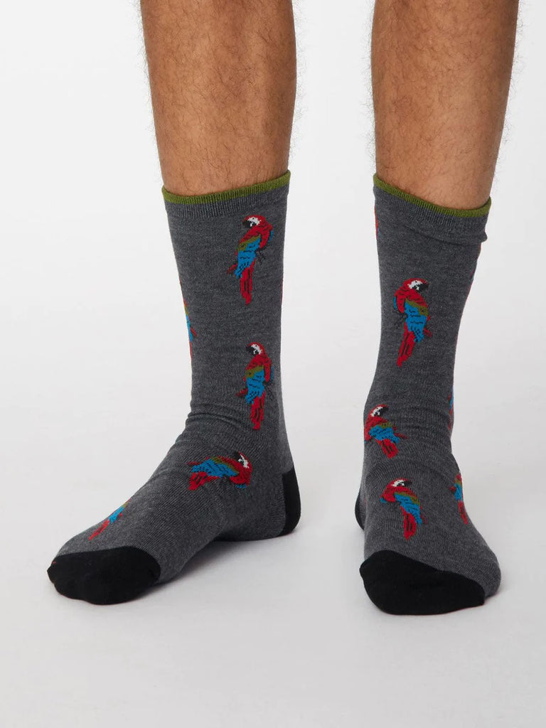 Men's Pappagallo Socks - Dark Grey Marle