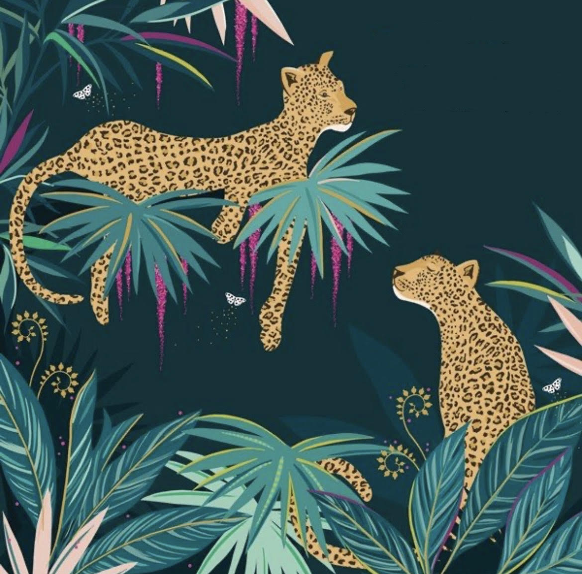 Two Cheetah's Card