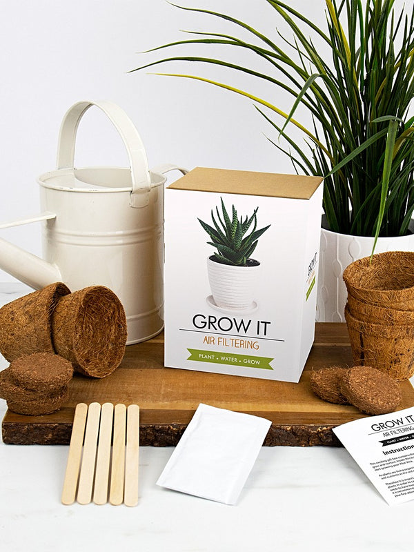 Grow It Air Filtering plant