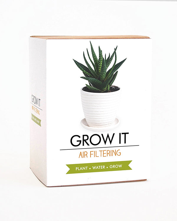 Grow It Air Filtering plant