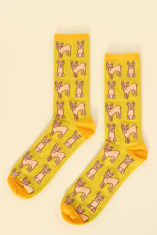 Men's Sage Green Mustard French Bull Terrier Socks