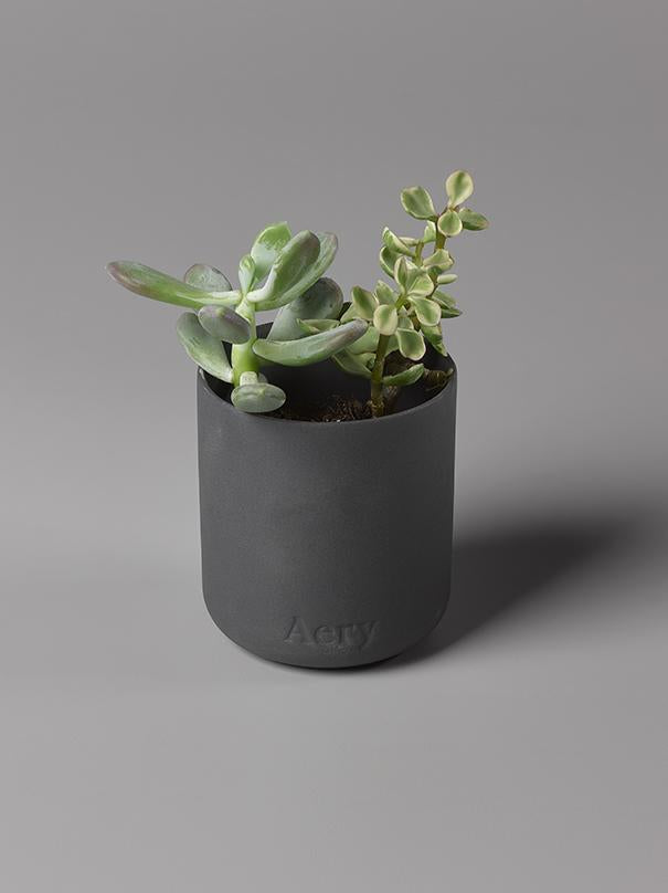 Aery Indian Sandalwood Scented Candle - Black Clay Pot
