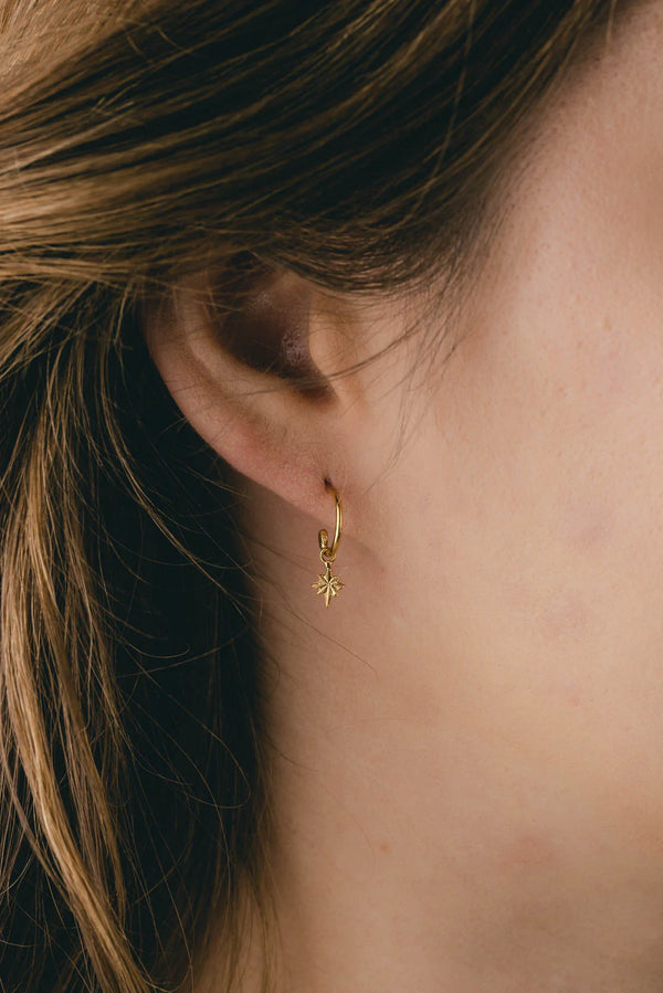 Amanda Coleman Gold Star Hoop Earrings
