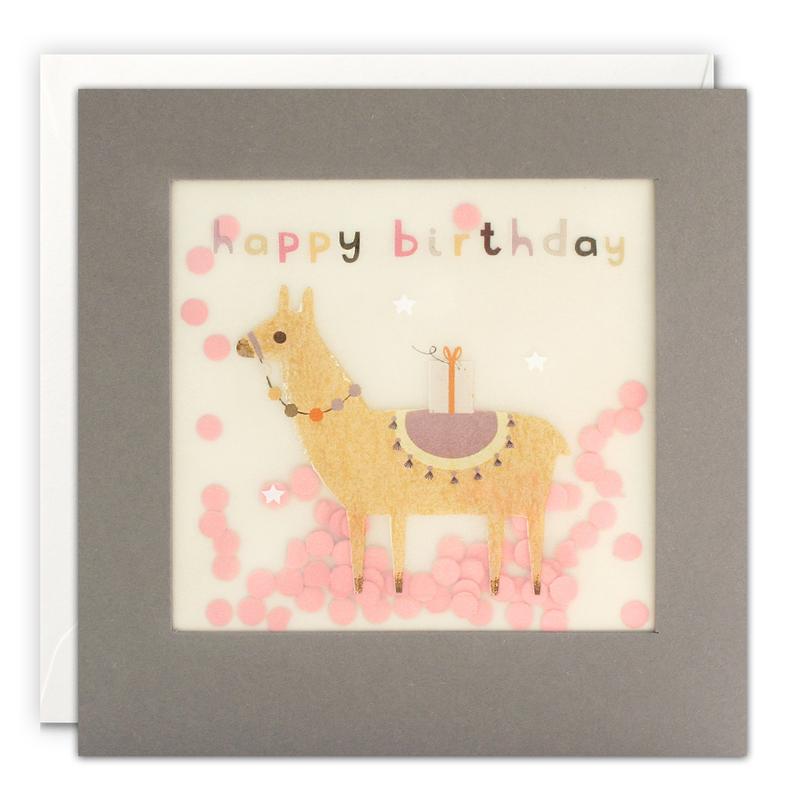 Happy Birthday Llama Grey Paper Shakies Card